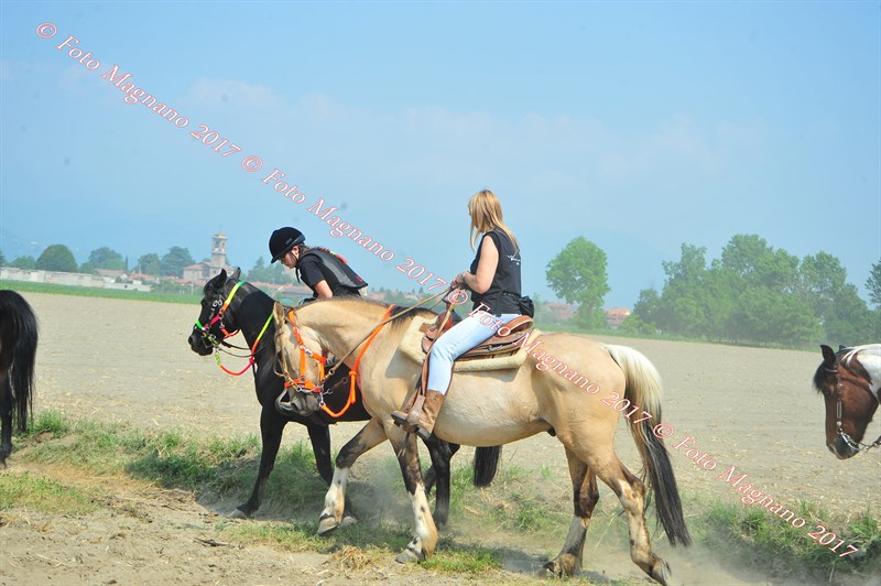 DSC_0833.JPG